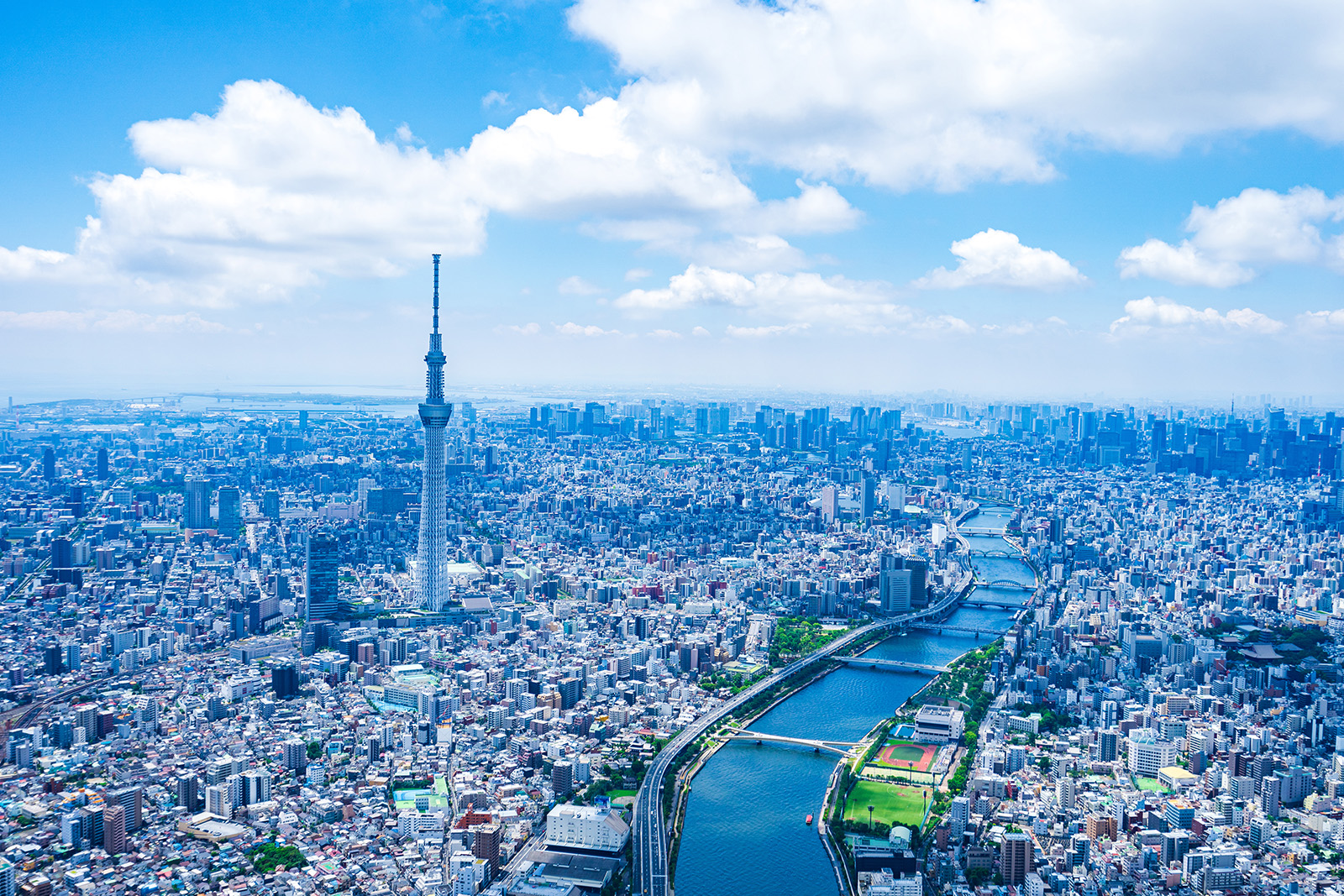 株式会社サーモンプランニング